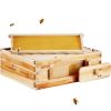 VEVOR Bee Hive Medium Box Starter Kit, 100% Beeswax Coated Natural Cedar Wood, Langstroth Beehive Kit with 10 Frames and Foundations, Transparent Acry